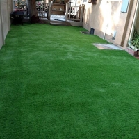 Artificial Grass Carpet Dos Palos Y, California Backyard Deck Ideas, Backyard Landscape Ideas