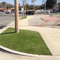 Artificial Lawn Bear Creek, California City Landscape, Commercial Landscape