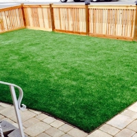 Artificial Lawn Delhi, California Gardeners, Backyard Makeover