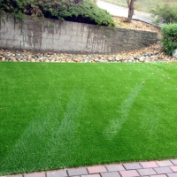 Artificial Turf Cressey, California Landscape Photos, Front Yard