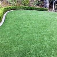 Artificial Turf Cressey, California Landscape Ideas, Backyard Designs