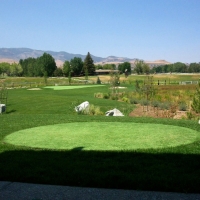 Artificial Turf El Nido, California Backyard Putting Green, Backyard Makeover