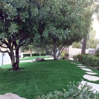 Artificial Turf Installation Ballico, California Landscape Photos, Front Yard Landscape Ideas