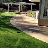 Artificial Turf Installation Delhi, California Dogs, Front Yard