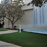 Artificial Turf Installation Delhi, California Backyard Playground, Front Yard Landscaping