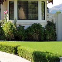 Artificial Turf Winton, California Garden Ideas, Front Yard Landscape Ideas