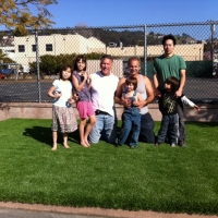 Best Artificial Grass Cressey, California Rooftop, Commercial Landscape