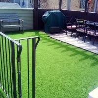 Best Artificial Grass Dos Palos Y, California Dog Running, Backyard Makeover