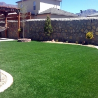 Fake Grass Carpet Dos Palos, California Landscape Design, Backyard Makeover