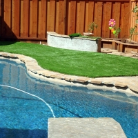 Fake Grass Carpet Gustine, California Design Ideas, Backyard Makeover