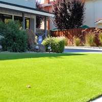 Fake Grass Carpet Snelling, California Design Ideas, Front Yard Landscaping