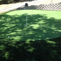 Fake Grass Carpet Winton, California Putting Green, Backyard Makeover