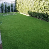 Fake Grass Le Grand, California Grass For Dogs, Backyard Design