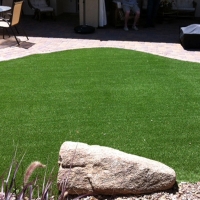 Fake Lawn Gustine, California Design Ideas, Backyard Design