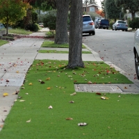 Fake Turf Ballico, California Landscaping Business, Front Yard Landscaping