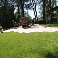 Fake Turf Livingston, California Landscaping, Backyard Landscape Ideas