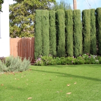 Faux Grass Gustine, California Garden Ideas, Landscaping Ideas For Front Yard