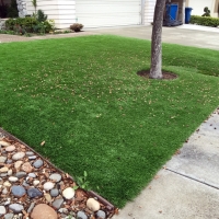 Faux Grass South Dos Palos, California Landscape Design, Front Yard Landscaping Ideas