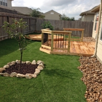 Grass Carpet Cressey, California Landscaping, Small Backyard Ideas