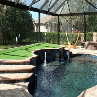 Grass Carpet Cressey, California Landscaping, Small Backyard Ideas