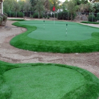 Grass Carpet Delhi, California Backyard Putting Green, Backyard Landscaping