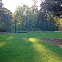 Grass Carpet El Nido, California Landscaping, Parks