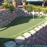 Grass Carpet Winton, California Paver Patio, Backyard Landscaping