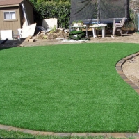 Grass Turf Dos Palos, California Landscaping, Small Backyard Ideas