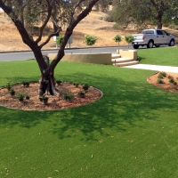 Grass Turf Le Grand, California Lawn And Garden, Small Front Yard Landscaping