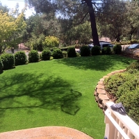 Grass Turf Los Banos, California Lawns, Backyard