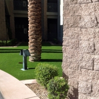 Grass Turf Snelling, California Design Ideas, Commercial Landscape