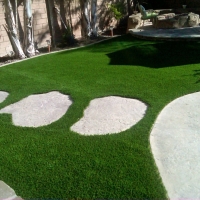 Grass Turf Stevinson, California Paver Patio, Backyard