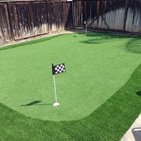 Green Lawn Cressey, California Roof Top, Backyard Landscaping