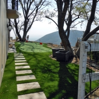 Green Lawn Delhi, California Landscape Ideas, Backyard