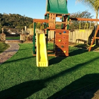 Green Lawn Livingston, California Backyard Playground, Backyards