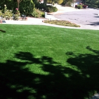 Green Lawn Tuttle, California Design Ideas, Front Yard Landscape Ideas