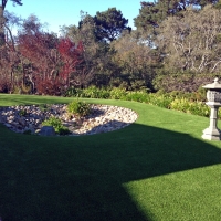 Lawn Services South Dos Palos, California Landscaping Business, Backyards