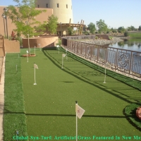 Outdoor Carpet Atwater, California Lawns, Backyard Ideas