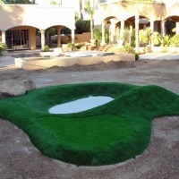 Outdoor Carpet Delhi, California Putting Green Turf, Commercial Landscape