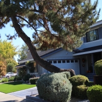 Outdoor Carpet Gustine, California Lawn And Landscape, Front Yard Landscape Ideas