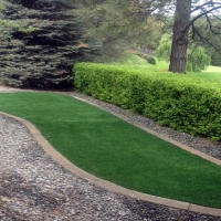 Outdoor Carpet South Dos Palos, California Landscaping Business