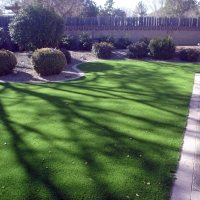 Outdoor Carpet Stevinson, California Lawn And Landscape, Front Yard Ideas