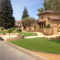 Plastic Grass Cressey, California Landscaping Business, Landscaping Ideas For Front Yard