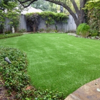 Plastic Grass Delhi, California City Landscape, Backyard Makeover