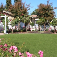 Plastic Grass Los Banos, California Roof Top, Front Yard Landscaping