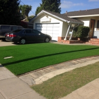 Plastic Grass Tuttle, California Backyard Deck Ideas, Front Yard