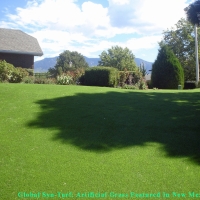 Synthetic Grass Cost El Nido, California Cat Grass, Backyard Makeover