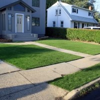 Synthetic Grass Cost Los Banos, California Landscaping Business, Front Yard Landscape Ideas