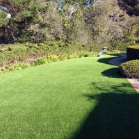 Synthetic Grass El Nido, California Landscape Ideas, Landscaping Ideas For Front Yard