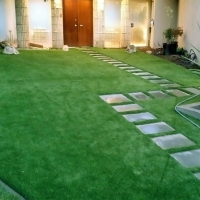 Synthetic Grass El Nido, California Lawn And Garden, Small Front Yard Landscaping